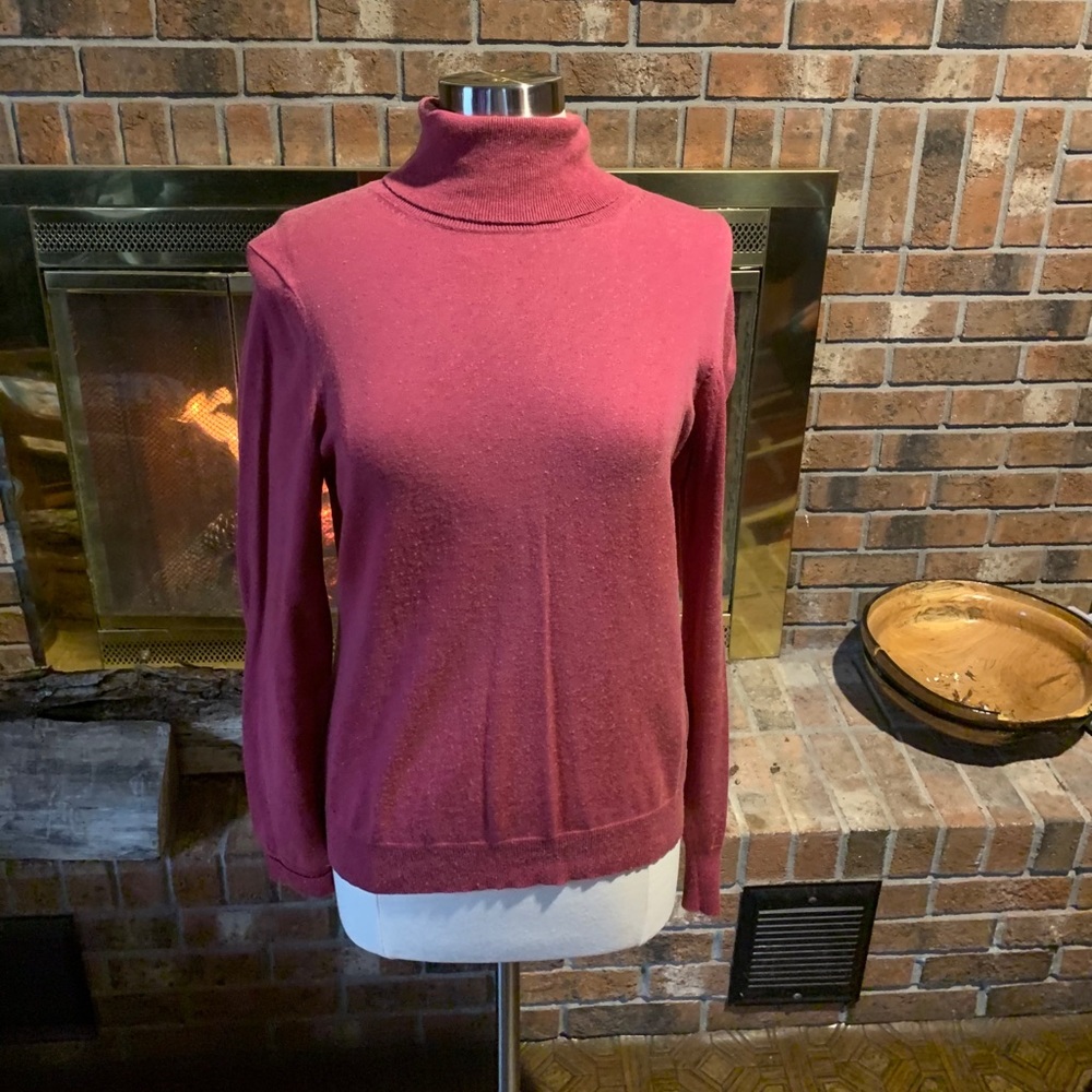 Banana Republic Mauve Turtle Neck
